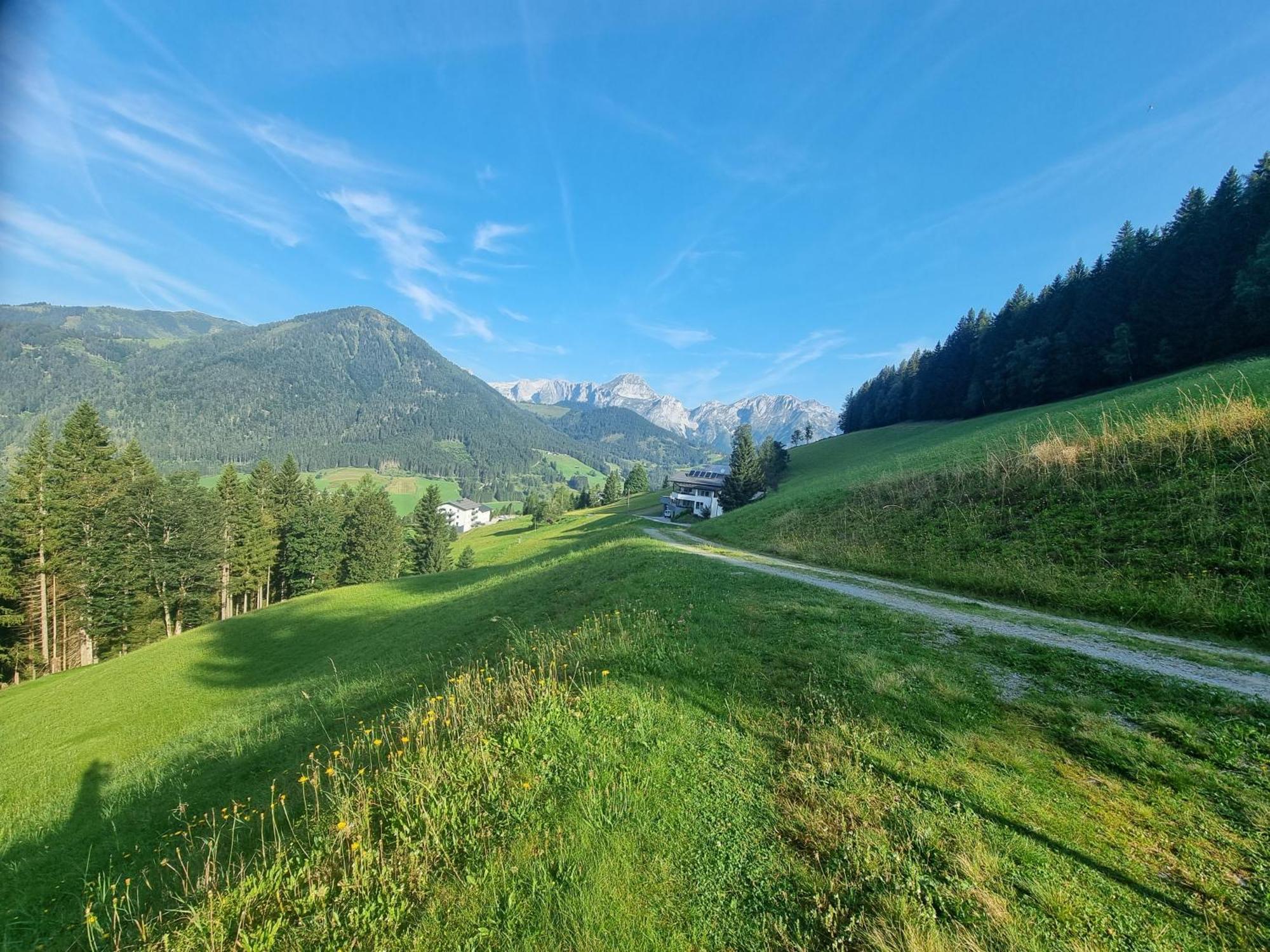Buttermilchalm Bed & Breakfast Sankt Martin am Tennengebirge Exterior foto